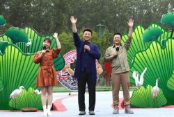 周老板最新爆料视频大全,揭秘幕后真相，带你走进事件核心
