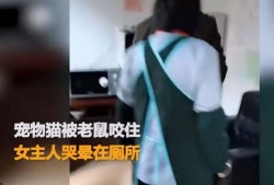 最新爆料老鼠视频大全播放,最新老鼠视频大全，触目惊心瞬间曝光！